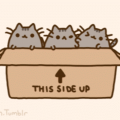 sarah_lucia_lampe