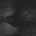 satans_whxre_