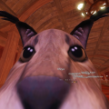 savagezraven