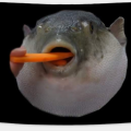 SchweeWee