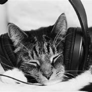 Catotonic