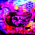 ElPOllO