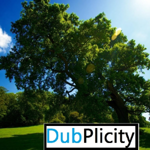 DubPlicity