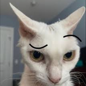 krikriii~~