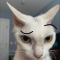 krikriii~~