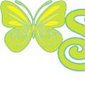 seledynek1_gmail_com