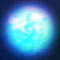 ZENSUS