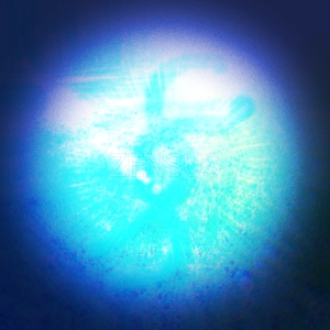 ZENSUS