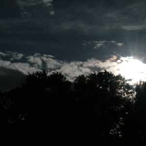 SeptemberSun