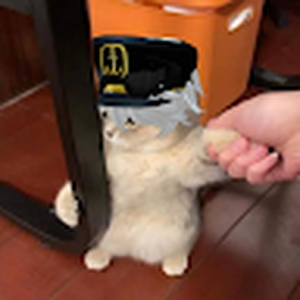 serialben