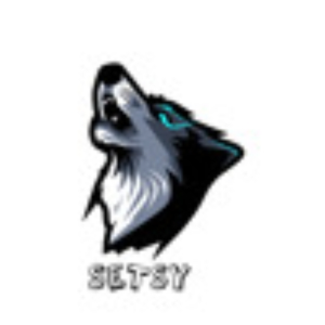 setsy