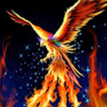 seyllim30_gmail_com