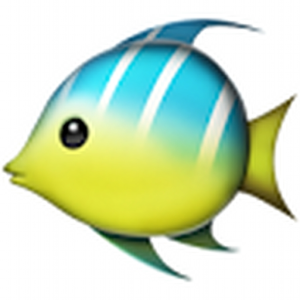 sfish
