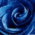 sgold98_haverfordsd_net