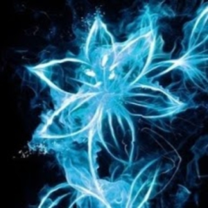 Shadow420