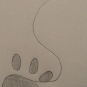 Shadow_