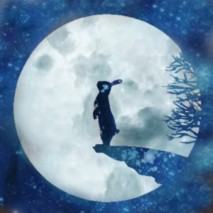 shadowraithsfury