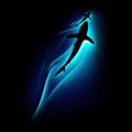 SharkChase