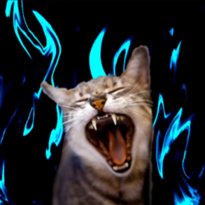 SharpsterCAT