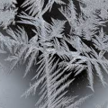 shatteredtheice