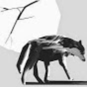 ShatteredWolf