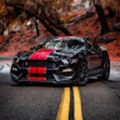 shelby_gt