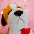 shelly_portraits