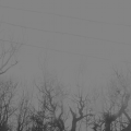 ShelterRoam