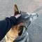 Shib5