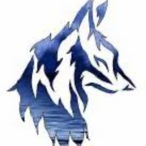 BlackWolf1308