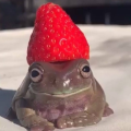 shroomm