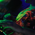 EvoSonic aka Un Xpected..