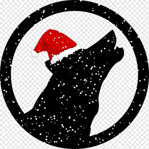 silverwolf333HL