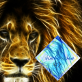 Simba_son