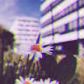 simone94548_jcs-inc_org