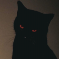 SinnisterBats