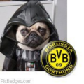 Darth Gerda