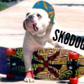 sk8dog