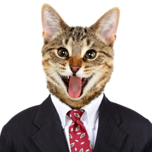 TheRemixCat