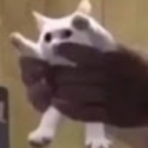 Skoopy
