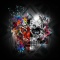 Skull251