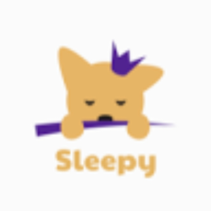 sleepowsky_gmail_com