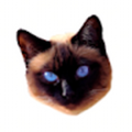slender120303_gmail_com