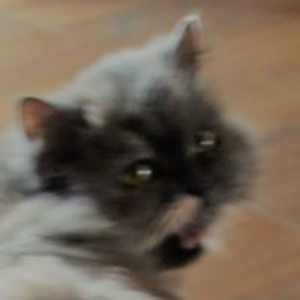slipsock