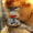 slopo