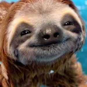 SlothsOfLegend