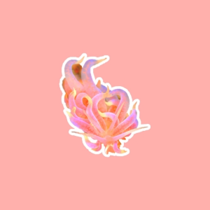 okidoki!