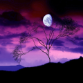 smart13071992_gmail_com