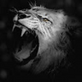 smlville12_gmail_com