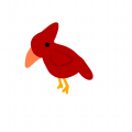 Smol_Birb